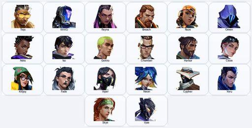 EU/exp Iron | 1 Skins + 20 Agents + 345 RP | Imperium Vandal | Full Access