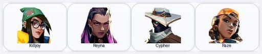 NA | 1 Skins + 4 Agents | Wayfinder Shorty | Full Access