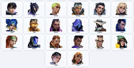 AP | 16 Skins + 20 Agents | Torque Coiler / Arcane Vandal / Arcane Gauntlets / Torque Vandal | Full Access