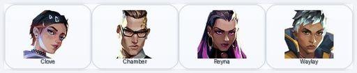 EU/Bronze | 1 Skins + 4 Agents | Valiant Hero Vandal | Full Access