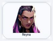 BR | 1 Skins + 1 Agents | Wayfinder Shorty | Full Access