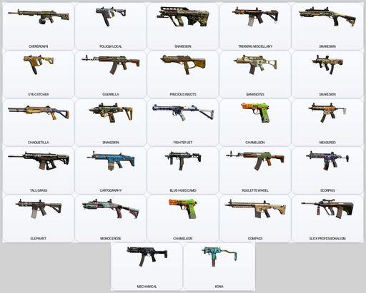 [PC] | Level 53 | Ranked Ready | 34 Operators | 31 Skins | Game Not Purchased | Full Access