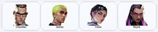 EU | 8 Skins + 4 Agents | Byteshift Judge / Byteshift Vandal / Doom Wing Odin / Refractrix Classic | Full Access