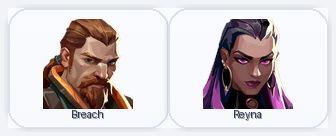 AP | 1 Skins + 2 Agents | Wayfinder Shorty | Full Access