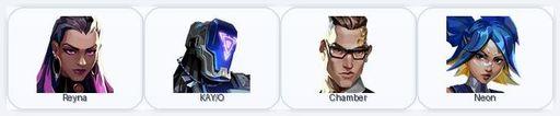 EU/exp Iron | 1 Skins + 4 Agents | Full Access