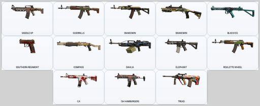 [PSN/PC] | Level 62 | Ranked Ready | 39 Operators | 16 Skins | 1x Black Ice | Has The Game | Full Access